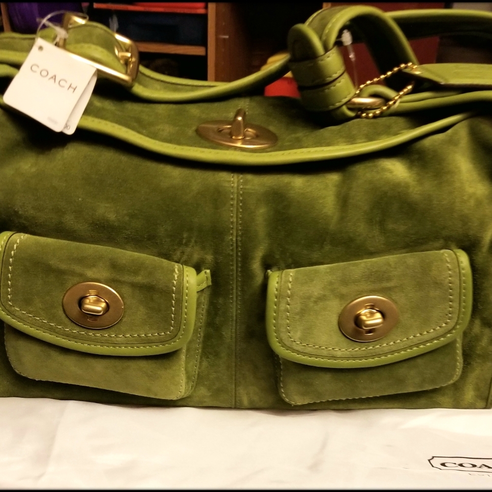 Authentic Asparagus LIMITED EDITION Coach Satchel